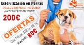 4patas La Isleta - Tienda De Animales Las Palmas
