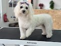 Aida Garcia Estilista Canina