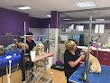 Alianz K9 Valencia | Centro Veterinario En Valencia