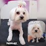 Negocio Ana Escribano Peluquera Canina