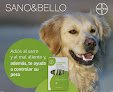 Negocio Animal Party Formentera