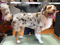 Negocio Annator Estética Y Peluquería Canina