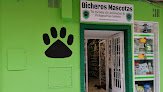 Bicheros Mascotas Y Peluqueria Canina