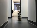 Negocio Boovet Clínica Veterinaria