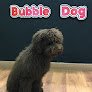 Bubbledog Barbería Canina