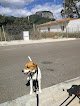 Negocio Can Nora