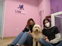 Canela Peluquería Canina