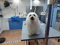 Cap I Cua Peluquería Canina