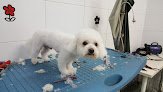 Negocio Centro Canino Los Ferreros