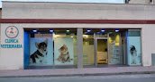 Negocio Clínica Veterinaria Ursaria