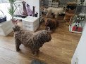 Negocio Cucamona Sportdogmallorca