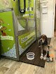 Ecodog Lavamascotas