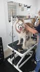 Negocio Enredados Peluquería Canina