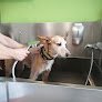 Negocio Garbi Kan, Peluquería Canina, Autolavado De Perros