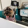 Negocio Garbitxakur Amara. Autolavado De Mascotas Y Peluquería Canina.