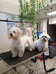 Negocio Hain·k Peluquería Canina