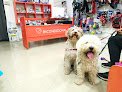 Negocio Incondicional Castellón - Peluquería Canina Y Tienda De Artículos Para Mascotas
