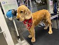 Negocio Kukies Peluquería Canina Y Felina