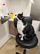 Negocio La Ribera Veterinaris