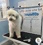 Negocio Limpiadog Bergara