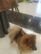 Mas Can General Elorza - Tienda Y Peluqueria Canina Y Felina