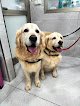 Negocio Mascotas Cora | Peluquería Y Spa | Alimentación Y Accesorios