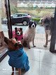 Negocio Micocan, Centro Canino Y Felino