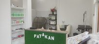 Negocio Peluquería Canina + Autolavado Patakän