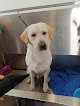 Negocio Peluquería Canina Clara Y Ainoa