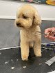 Negocio Peluqueria Canina Coquetos