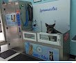 Negocio Peluquería Canina Cuatropatas