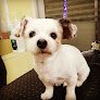 Negocio Peluqueria Canina En Ibiza Animalets | Tienda De Animales | Perruqueria Canina Ibiza,