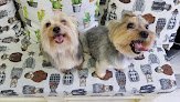 Negocio Peluquería Canina En Madrid Barbercan