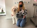 Peluquería Canina Esencia