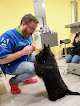 Negocio Peluquería Canina Juan A Fernandez