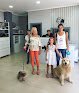 Negocio Peluqueria Canina Keni
