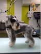 Negocio Peluquería Canina La Del Estadio