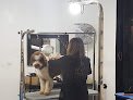 Peluquería Canina Lola Estévez