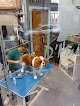 Negocio Peluquería Canina Marcos Arriaza