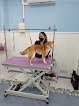 Peluquería Canina Merlecan