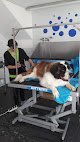 Negocio Peluqueria Canina Peludos