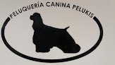 Negocio Peluqueria Canina Pelukis