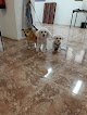 Negocio Peluquería Canina Ponme Guapo Tarazona