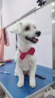 Negocio Peluquería Canina Puppy Love