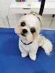 Negocio Peluqueria Canina Ribadeo - Peluqueria Canina-autolavado Mascotas 24h- Lavandería Ropa Mascotas 24h
