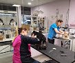 Negocio Peluquería Canina Y Escuela De Peluqueria Plucking En Santander
