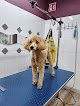 Negocio Peluquería Canina Y Felina Dorothy