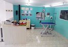 Negocio Peluquería Canina Y Felina Michican
