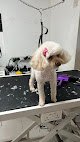 Peluqueria Ponme Guapo Canina