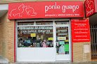 Negocio Peluquería Y Estetica Canina Ponle Guapo